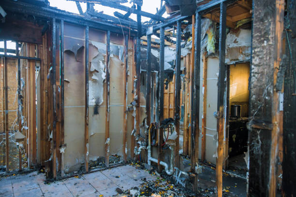 Professional Fire Damage Removal technician working in Jefferson, TX