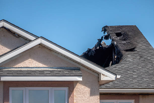 Top rated local Fire Damage Removal specialists in Jefferson, TX